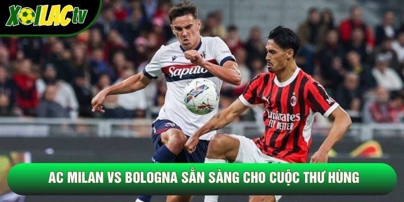 AC Milan vs Bologna sẵn sàng cho cuộc thư hùng AC Milan vs Bologna sẵn sàng cho cuộc thư hùng