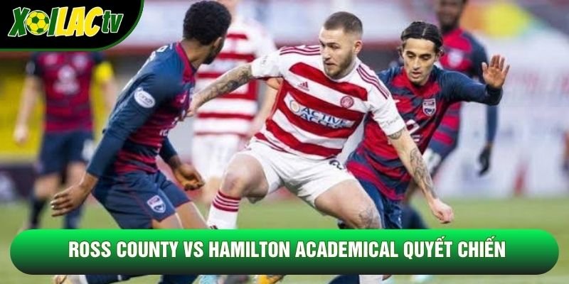 Ross County vs Hamilton Academical quyết chiến Ross County vs Hamilton Academical quyết chiến