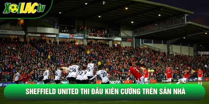 Sheffield United thi đấu kiên cường trên sân nhà Sheffield United thi đấu kiên cường trên sân nhà