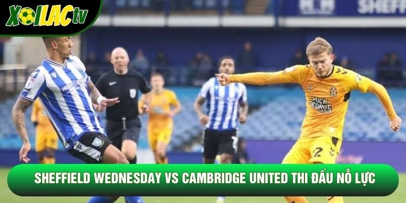 Sheffield Wednesday vs Cambridge United thi đấu nỗ lực Sheffield Wednesday vs Cambridge United thi đấu nỗ lực