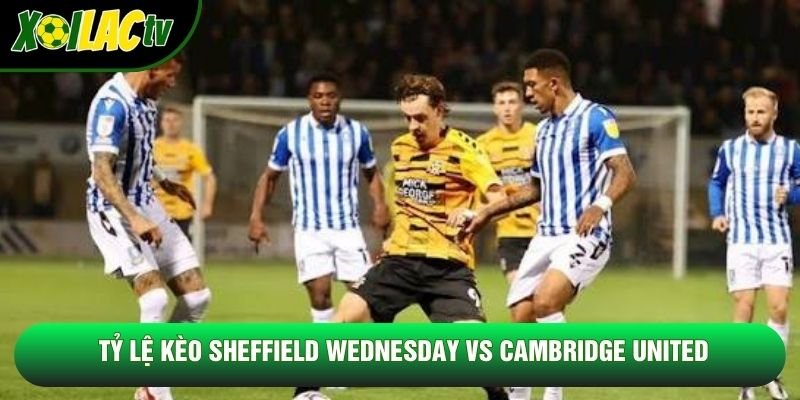 Tỷ lệ kèo Sheffield Wednesday vs Cambridge United Tỷ lệ kèo Sheffield Wednesday vs Cambridge United